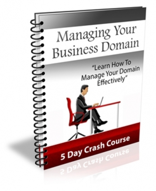 Product picture Managing Your Business Domain