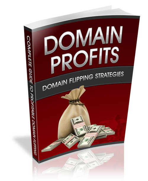 Product picture Domain Profits- Domain Flipping Strategies
